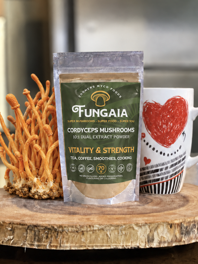 Cordyceps - Mushroom Mycro Powder 70g / ENDURANCE + IMMUNE SUPPORT / for Tea, Smoothies, Coffee & Cooking