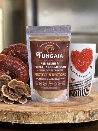 Red Reishi & Turkey Tail Mushroom Mycro Powder 70g / BOOST IMMUNITY & FOCUS / for Tea, Smoothies, Coffee & Cooking