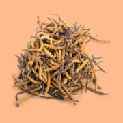 Ground Mushroom Coffee 385g - Cordyceps & Shiitake / ENDURANCE + IMMUNE SUPPORT