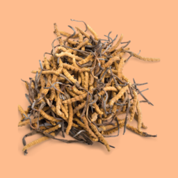 Ground Mushroom Coffee 385g - Cordyceps & Shiitake / ENDURANCE + IMMUNE SUPPORT